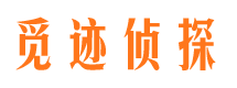 莆田市婚姻出轨调查